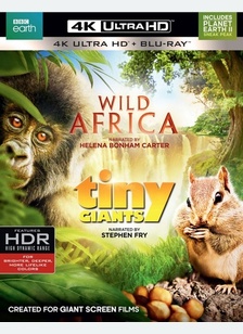 Wild Africa / Tiny Giants