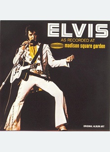 MADISON SQUARE GARDEN (OOP)