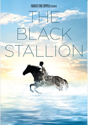 The Black Stallion