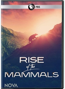 Nova: Rise of the Mammals