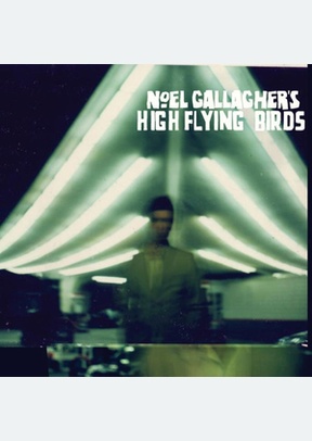 HIGH FLYING BIRDS