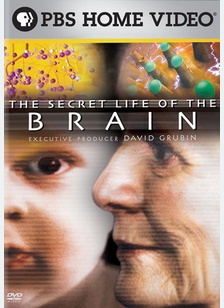 The Secret Life of the Brain