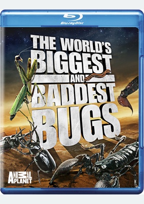 The World's Biggest and Baddest Bugs