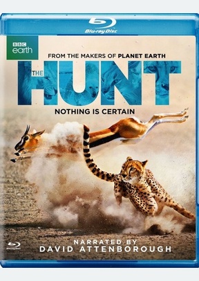 The Hunt
