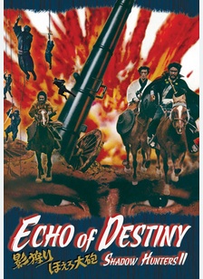 Shadow Hunters II: Echo of Destiny