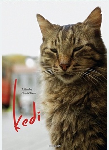 Kedi