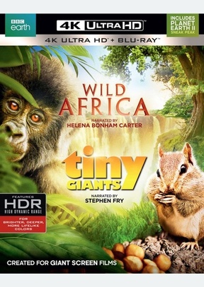 Wild Africa / Tiny Giants