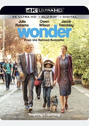 Wonder