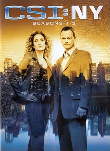CSI NEW YORK:S1-S3