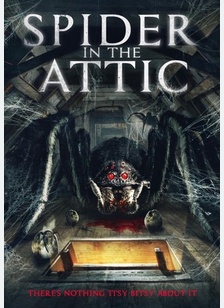 Spider in the Attic