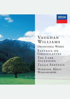 Orchestral Works (2 CD)