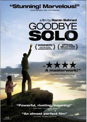 Goodbye Solo