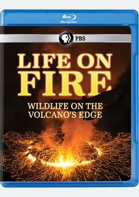 Life on Fire: Wildlife on the Volcano's Edge