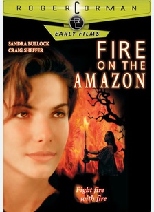 Fire On The Amazon