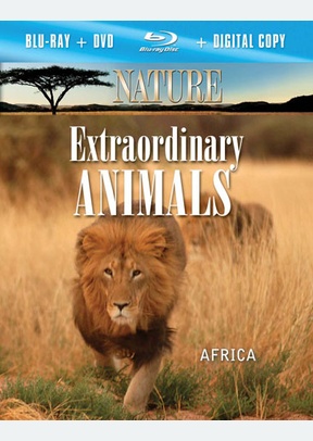Nature: Extraordinary Animals Africa