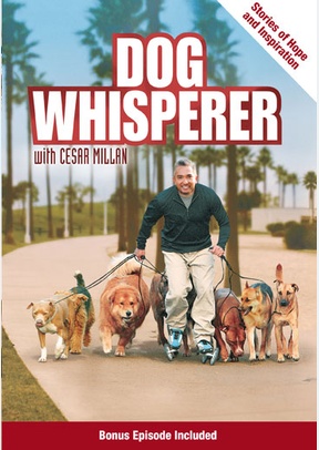 Dog Whisperer with Cesar Millan: Stories of Hope & Inspiration