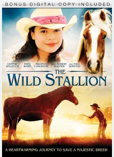The Wild Stallion
