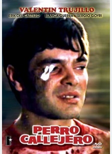 PERRO CALLEJERO