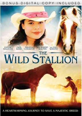 The Wild Stallion