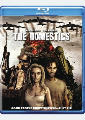 The Domestics