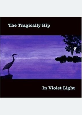 IN VIOLENT LIGHT