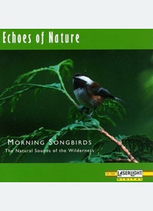MORNING SONGBIRDS
