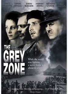 The Grey Zone