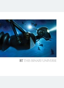THIS BINARY UNIVERSE