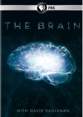 The Brain with David Eagleman