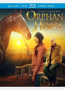Orphan Horse
