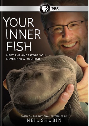 Your Inner Fish