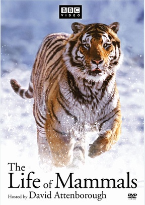 The Life Of Mammals Set