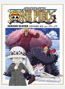 One Piece: Season 11, Voyage Six