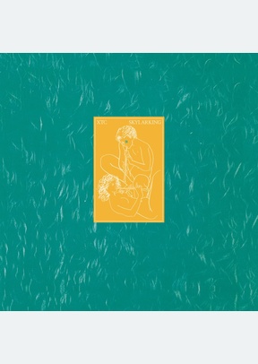 SKYLARKING (CD/BR) (IMPORT)