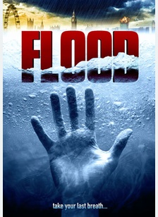 Flood