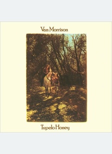 TUPELO HONEY (REM)
