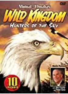 Wild Kingdom: Hunters of the Sky
