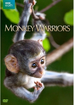 Monkey Warriors