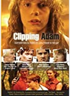 Clipping Adam