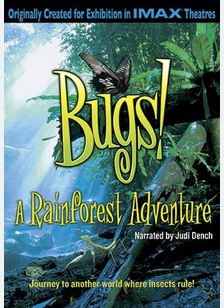 Bugs!