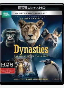 Dynasties