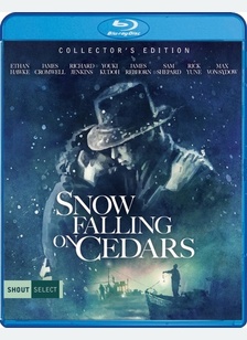 Snow Falling On Cedars