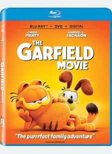 GARFIELD MOVIE (BR/DVD)