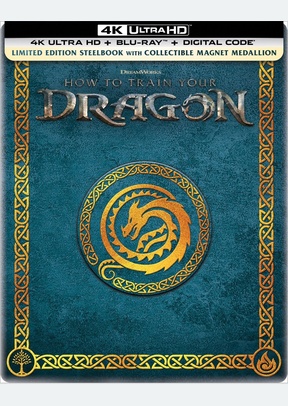 HOW TO TRAIN YOUR DRAGON (STEE