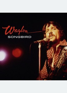 SONGBIRD