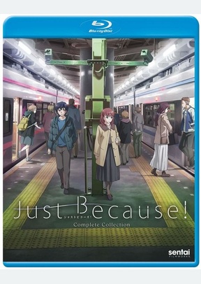 JUST BECAUSE:COMP COLL (BR)