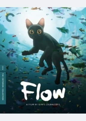 FLOW:CRITERION (4K/BR)