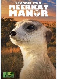 Meerkat Manor: Season Two