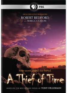 A Thief of Time