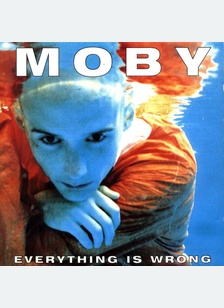 EVERYTHING IS WRONG